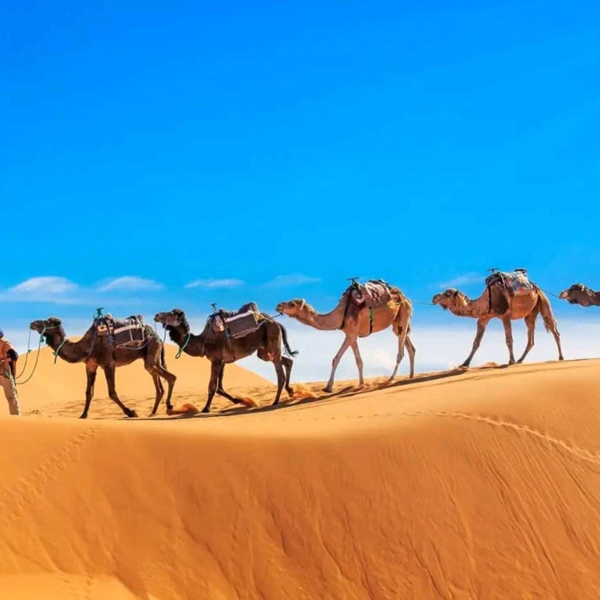 Hotel Unique Sahara Camp Merzouga Exterior foto